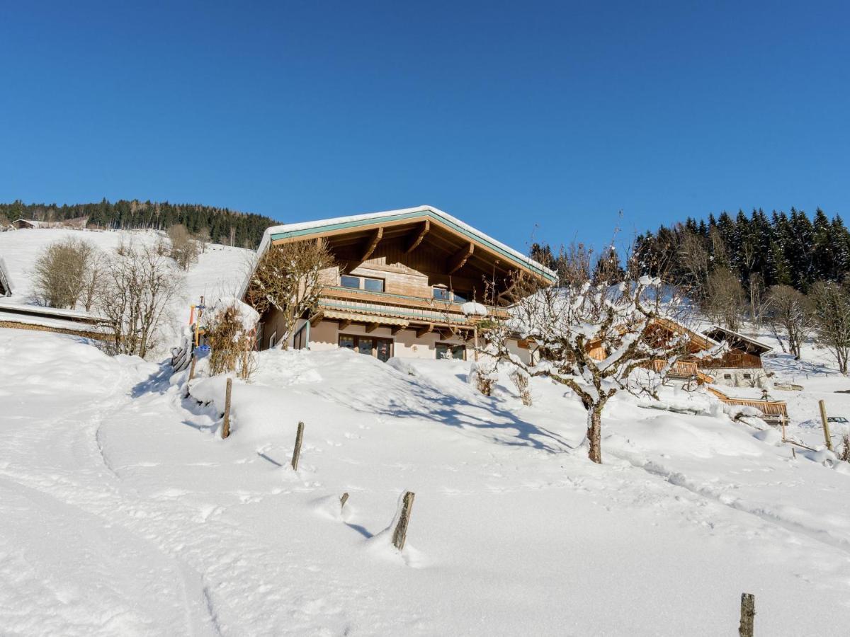 Apartment Near The Ski Area Saalbach-Hinterglemm Zewnętrze zdjęcie